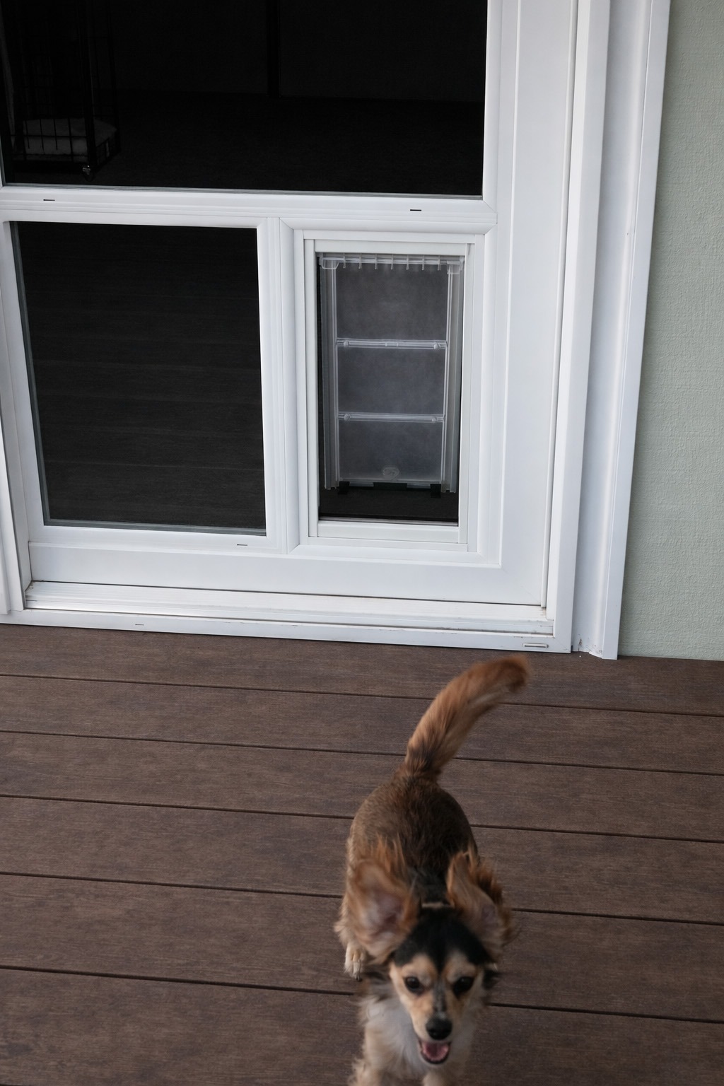 charley door outside