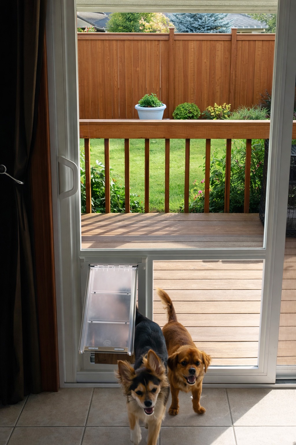 charley and nora inside the house